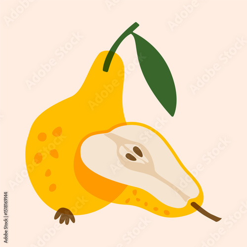Pear fruits. Ripe sweet organic pear with leaf and half of pear, abstract fresh delicious summer garden fruits for healthy diet, pear whole and slice with seeds. Vector illustration
