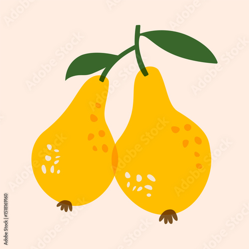 Pear fruits on branch. Ripe sweet organic pears with leaves, abstract fresh delicious summer garden fruits for healthy diet. Vector isolated illustration
