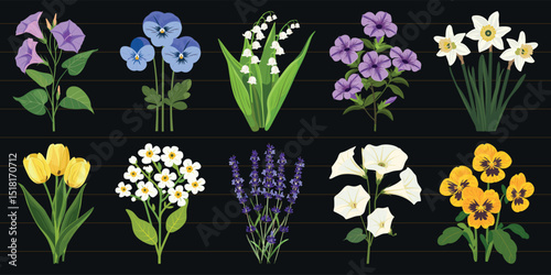 Colorful botanical floral illustrations, vector set