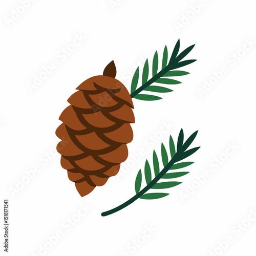 vector illustration of a pine cone