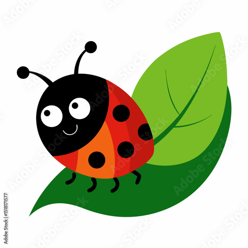 vector illustration of a ladybug
