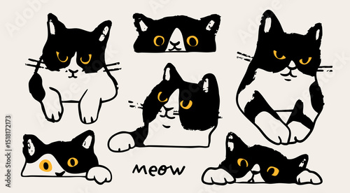 Black and white cat peeking, looking out. Funny character with yellow eyes set. Cute emotional domestic animal. Hiding, hunting, playing concept. Hand drawn Vector illustration. Isolated elements