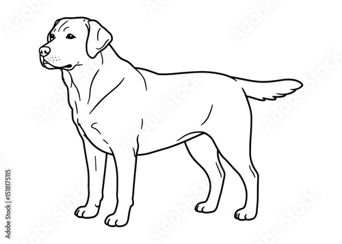 Vector artwork of a dog standing upright in a clean minimalist line drawing style, clearly showcasing its posture and features, ideal for prints, designs, and pet projects.

