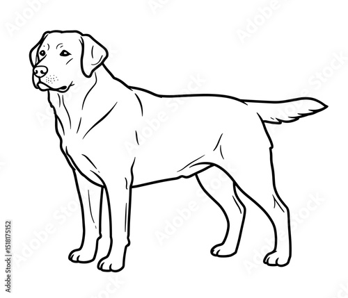 Simple line drawing of a dog standing upright with a focused expression, perfect for coloring books, art prints, logos, pet portraits, and creative design projects.


