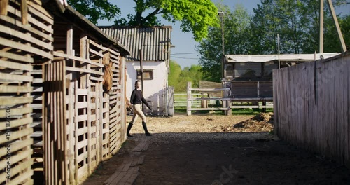 Wallpaper Mural A woman leads a horse into a pen. The end of a horse ride on a summer day Torontodigital.ca