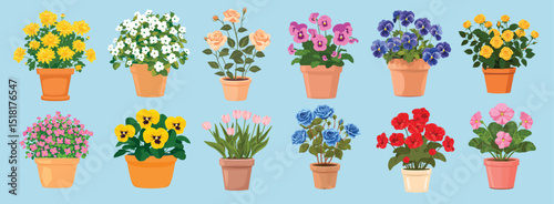 Colorful potted flowers collection, isolated vector set