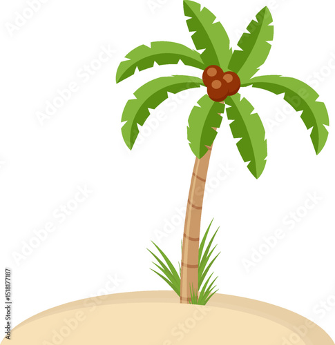  Beach Palm tree on a sandy beach isolated on white Summer vacation element Fun style