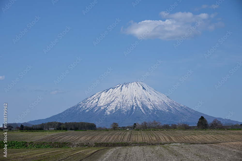 Fototapeta premium 春残雪の羊蹄山と青空に浮かぶ雲