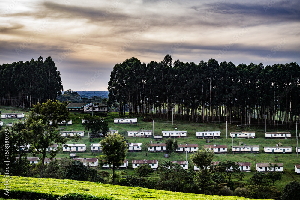 Obraz premium view of the city
