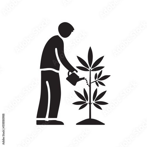 Person watering a small plant in a garden setting