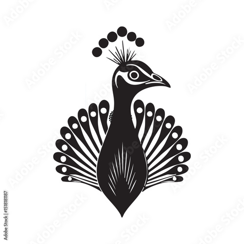 Elegant black peacock with intricate feather design