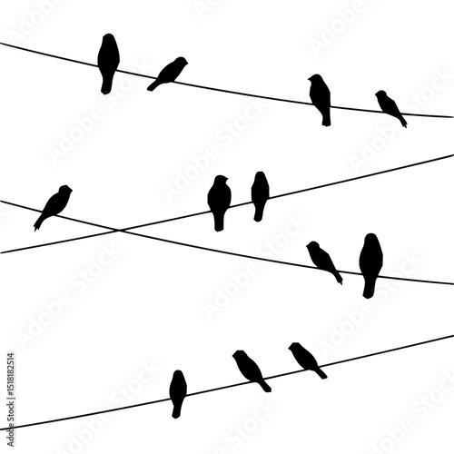 Minimilist silhouette illustration of several birds perched on telephone wires against a white background in vector format vector