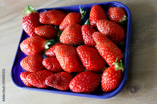 dégustation de fraises
