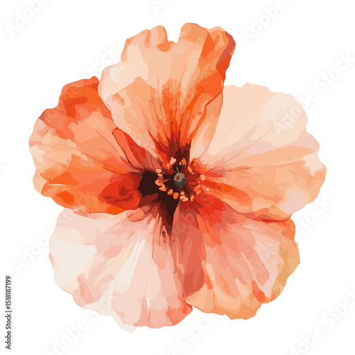 Hibiscus clip art illustration watercolor hibiscus vector
