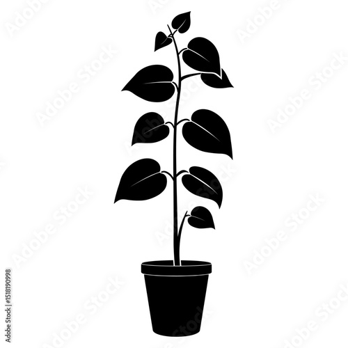 Potted plant with philodendron silhouette simple potted vector
