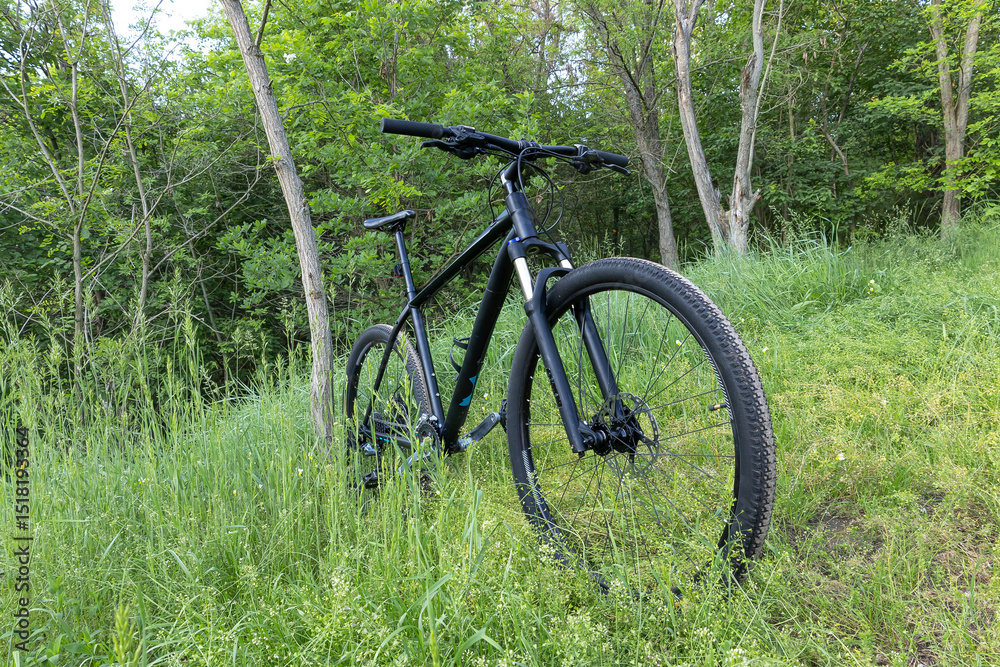 Fototapeta premium Mountain bike parked on a forest trail