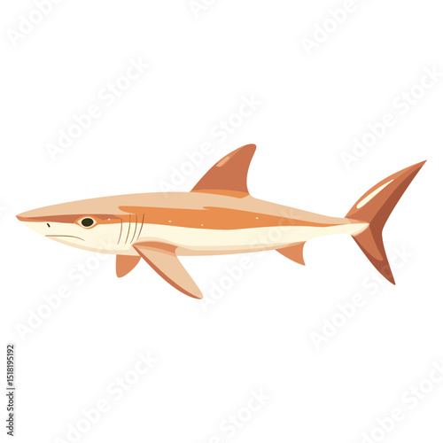 Shark illustration cartoon animal vector