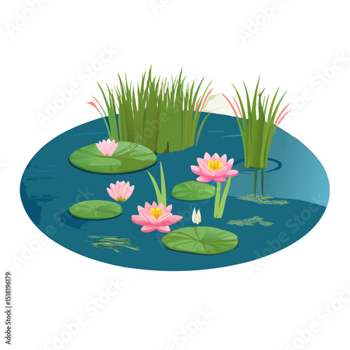 Lush Water Lily Pond with Pink Flowers and Green Reeds