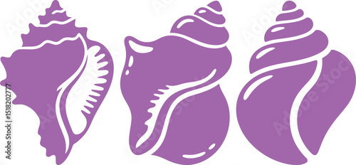 "Set of Three Purple Sea Shell Vector Illustrations with Detailed Curves and Spirals"