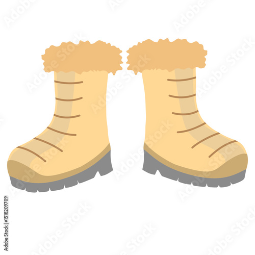 Winter boots illustration