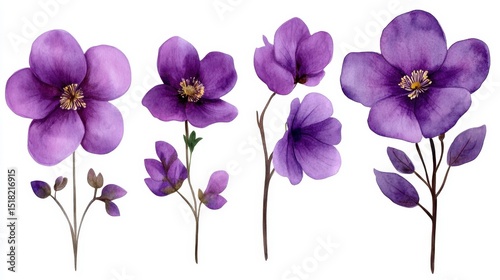 Purple watercolor flowers arranged creatively as clip-art, vibrant color and soft brush texture