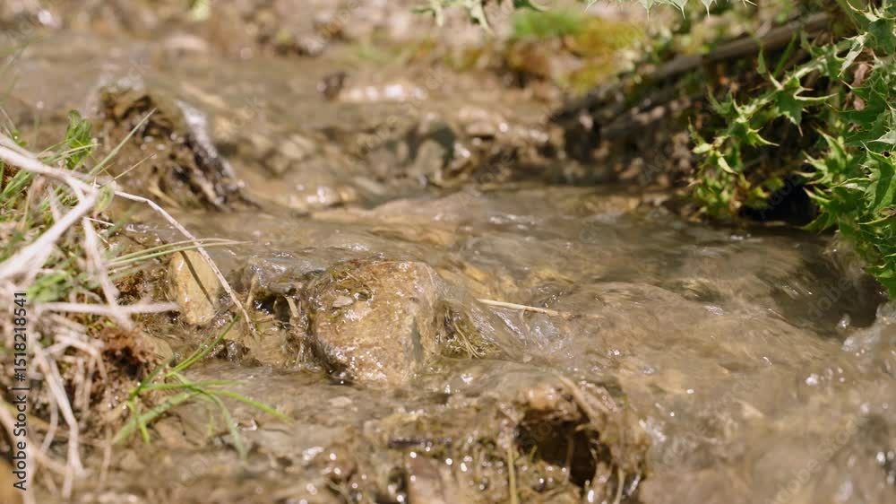 custom made wallpaper toronto digitalMountain stream with clear water flows over rocks in Svaneti region. Crystal water runs, sparkling under sunlight. Lush green vegetation surrounds stream. Serene natural landscape. Slow motion.