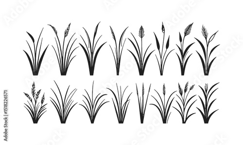 Vector illustration featuring a set of abstract grass tufts in a minimalist black line art style, each composed of sharp, curved, and jagged blade shapes, easily editable and scalable.