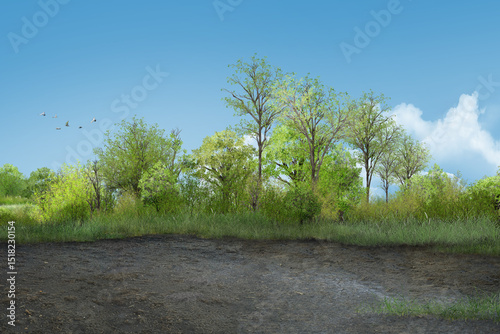 Obraz na płótnie tree in the field/Green grass growing naturally in an open field, representing the beauty of untouched nature