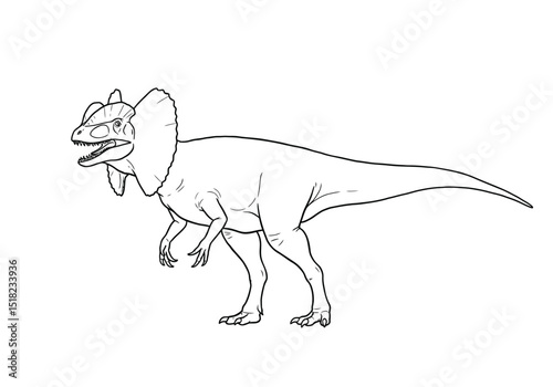 Dilophosaurus drawing. It is a black and white outline image of a Dilophosaurus, a carnivorous dinosaur known for its distinctive head crests and neck frill. Vector sketch line art draw.