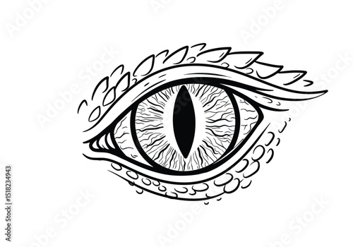 Dragon eyeball drawing. It is a black and white outline image of a detailed dragon eye with reptilian scales and a vertical pupil. Vector sketch line art draw.