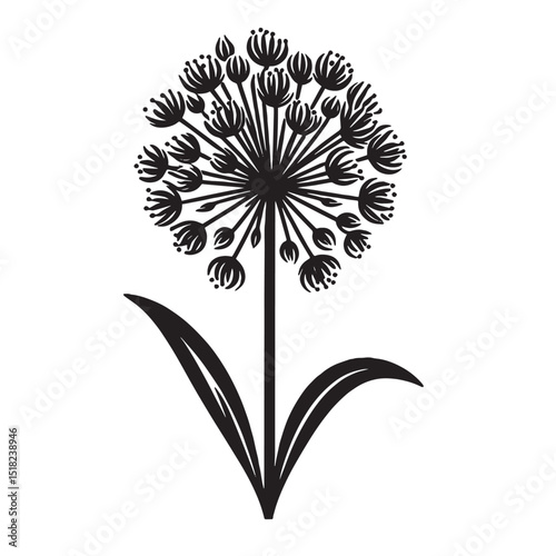 Allium Flower SVG