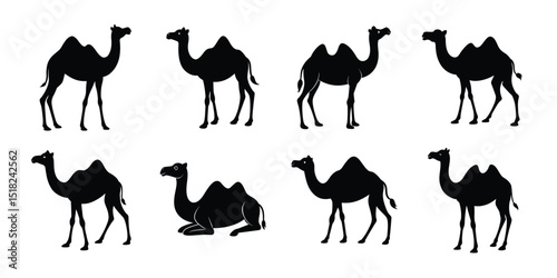 set of camels