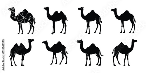 set of camels