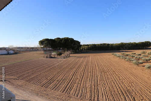 Paisaje castellano photo