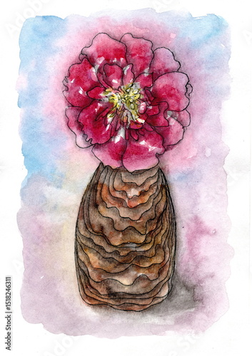 Fototapeta Naklejka Na Ścianę i Meble -  This is a watercolor illustration of a flower blooming on an unusual, textured base resembling a brown bulb or tuber. The flower is large, bright red with shades of crimson and purple.