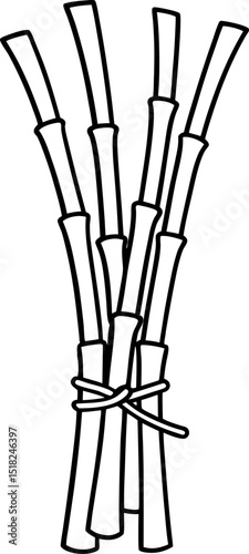 Sugarcane stalks bundle tied together fresh agricultural crop, hand drawn black and white farm illustration