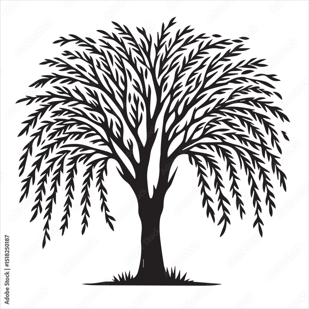 Obraz premium Willow Tree