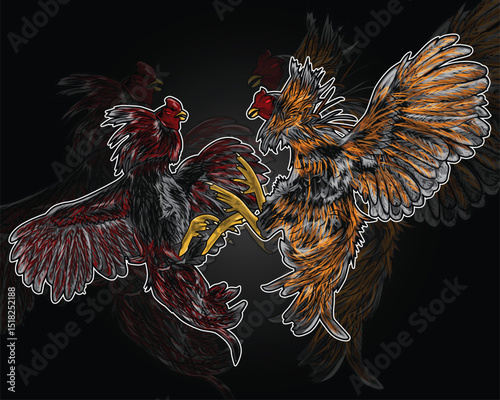 Vector illustration of two fighting cocks fighting.
