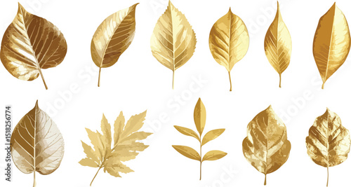 Elegant Collection of Golden Leaves on a White Background Showcasing Various Shapes and Textures in a Sophisticated and Artistic Arrangement for Design and