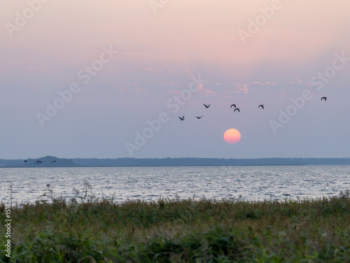 Sonnenaufgang mit Vögeln
