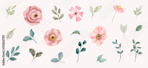 pink floral and green leaves watercolor collection