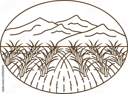 Sugarcane plantation field with mountain landscape outline rural agriculture and farm scene illustration