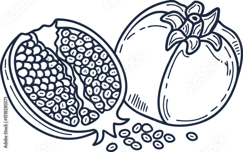 Hand drawn pomegranate fruit and seeds whole and half juicy tropical fruit sketch, botanical illustration