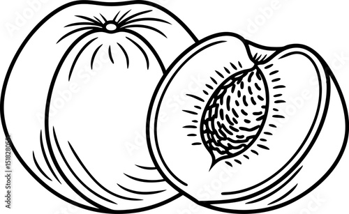 Whole and halved peach illustration juicy fruit with pit, black outline drawing fresh summer harvest, healthy snack concept