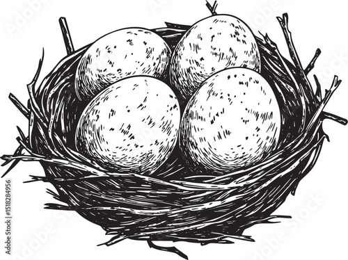 Nest with eggs sketch engraving vector illustration. Scratch board style imitation. Black and white hand drawn image.