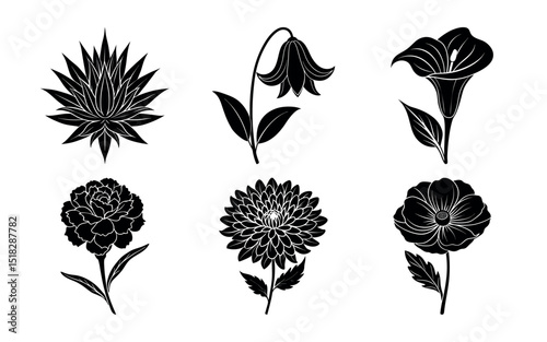 Assorted flower silhouettes isolated on a white background