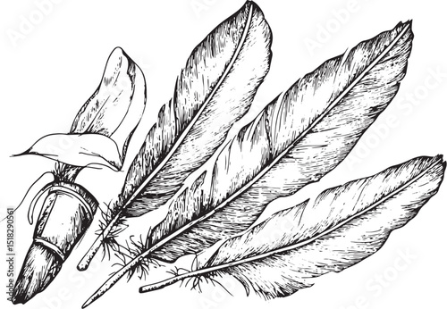 Hand writing with pen feather sketch engraving vector illustration. Scratch board style imitation. Hand drawn image.