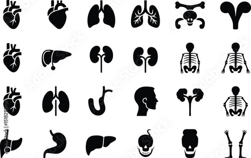 Collection of black silhouette icons of human internal organs and skeletons