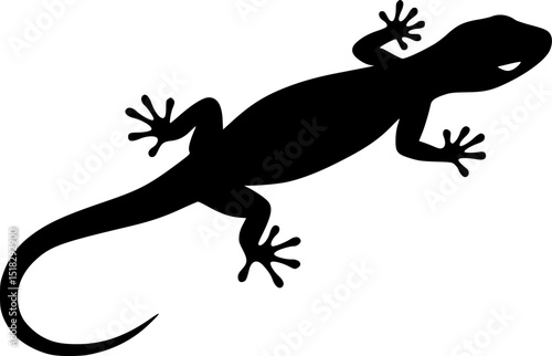 silhouette of a lizard, Gecko icon, Gecko silhouette vector
