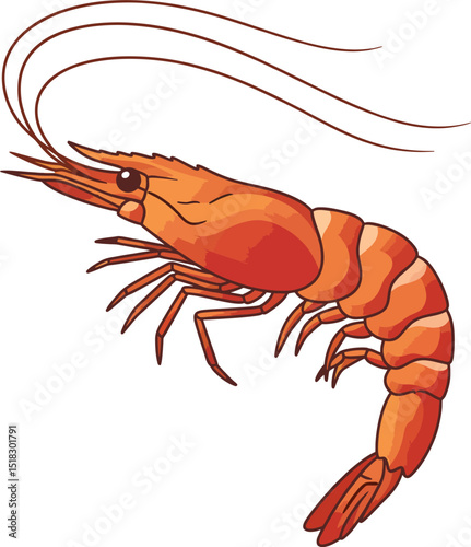 smooth shrimp, monochrome, vector flow